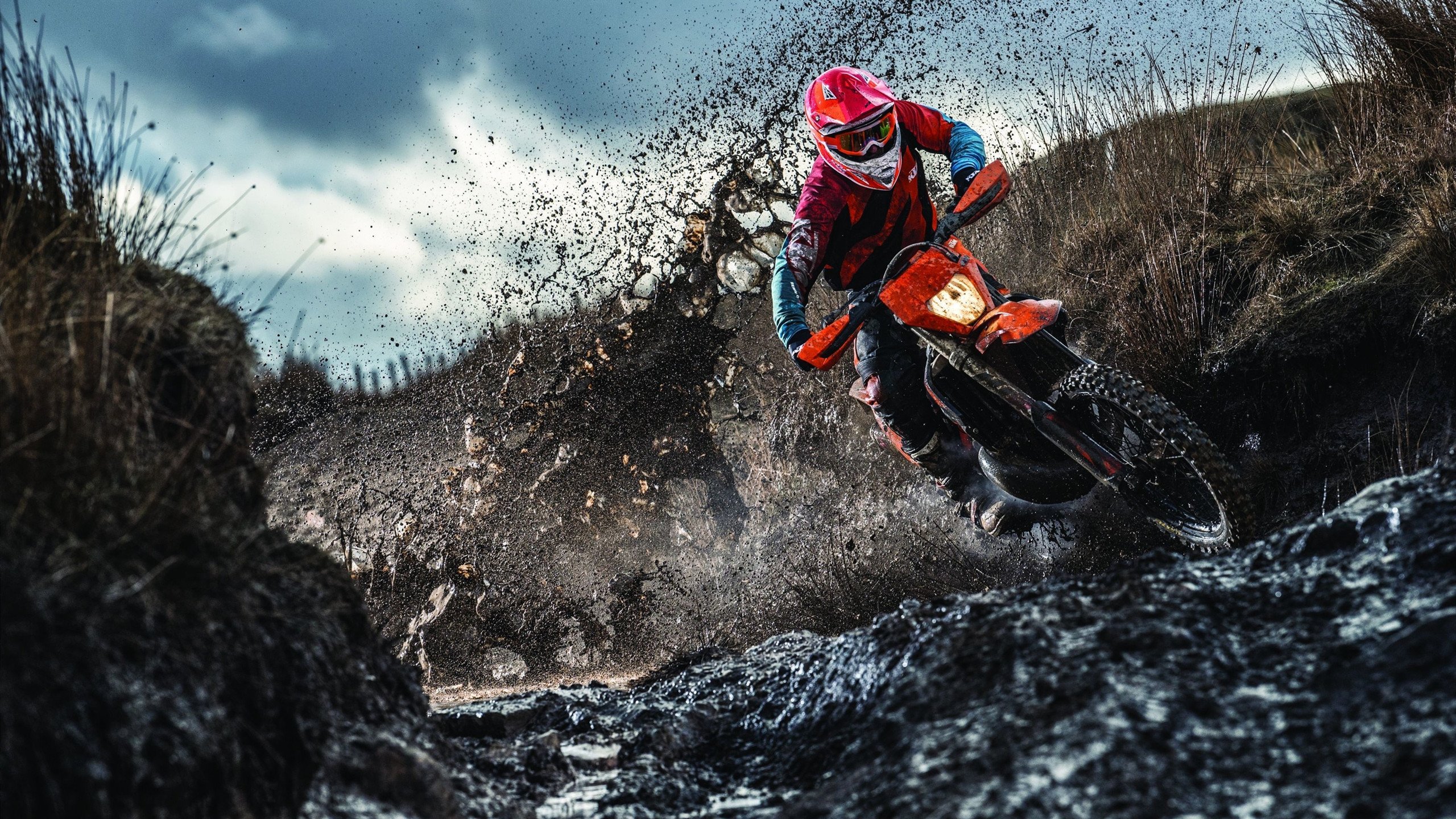 国际乒乓球赛事高手对决精彩纷呈